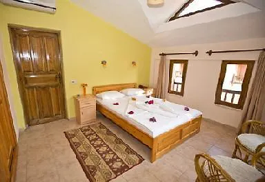 Portakal 3*