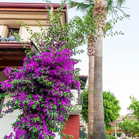 Hotel Portakal 3*