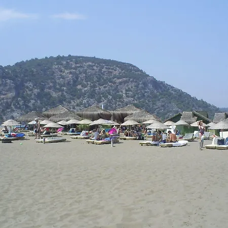 Portakal